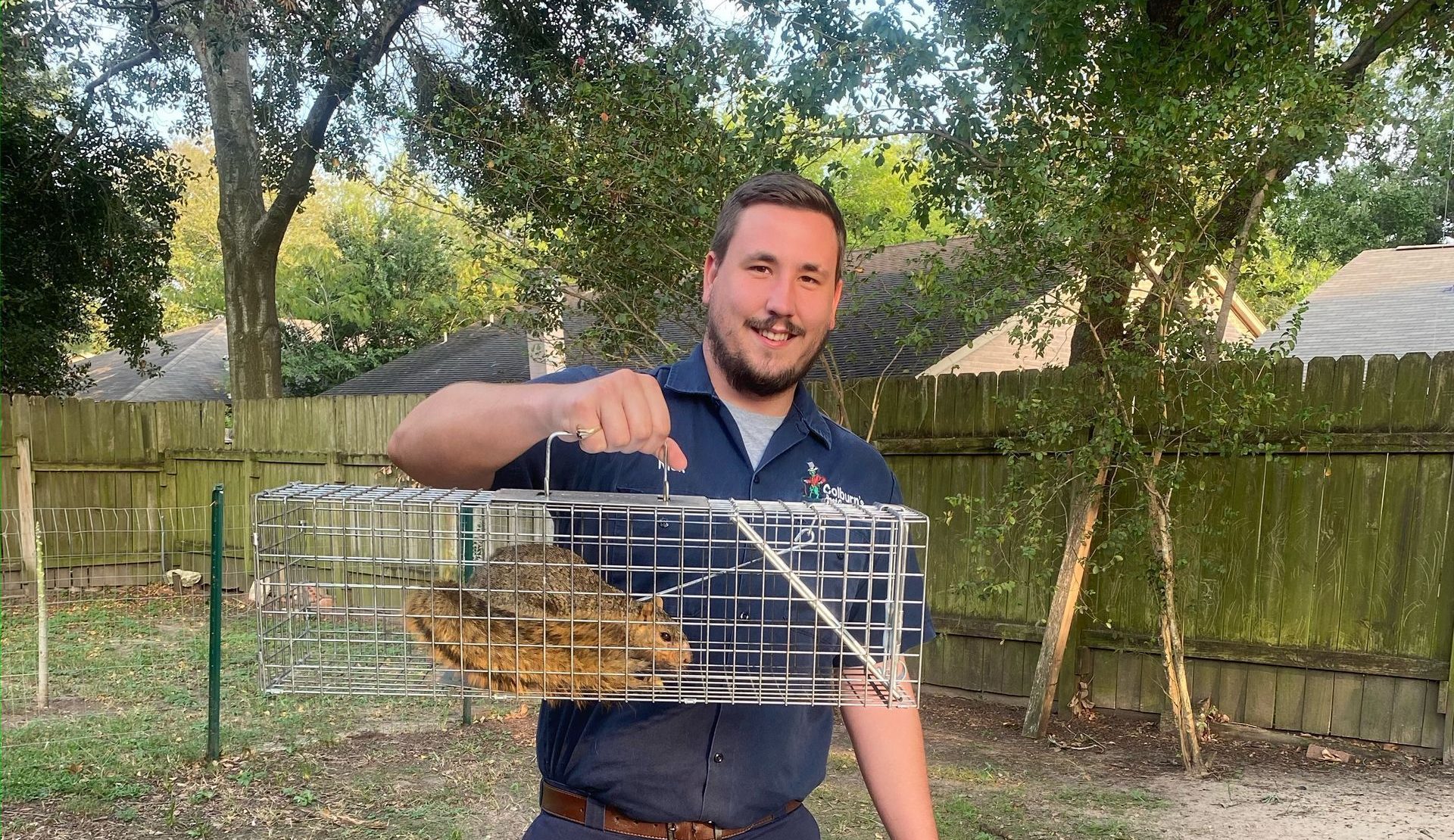 Squirrel removal services- Katy, Tx.