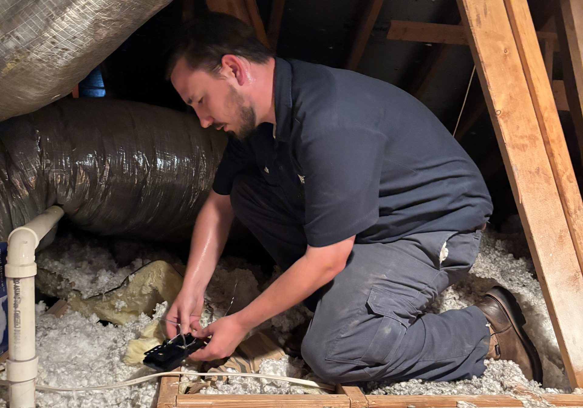 rat exterminator near Katy