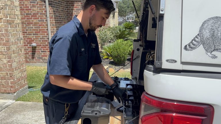 rat exterminator near Katy